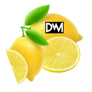 Web mínima creadores digitales